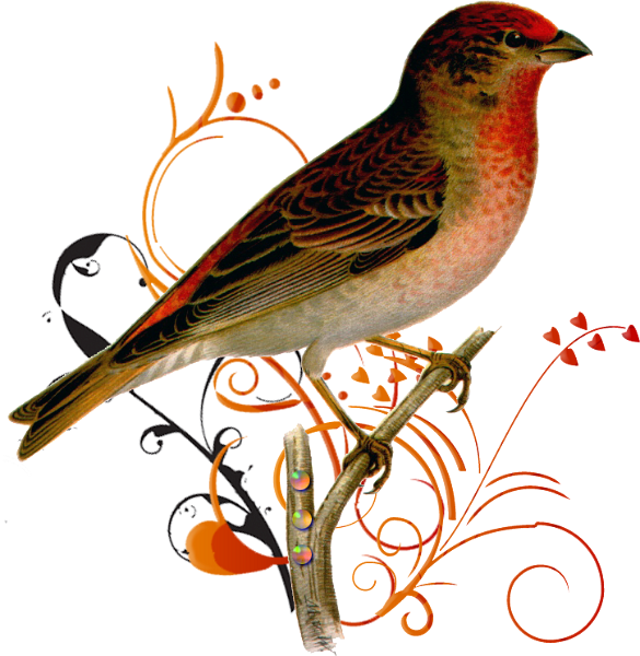 őszi állatok_201.png